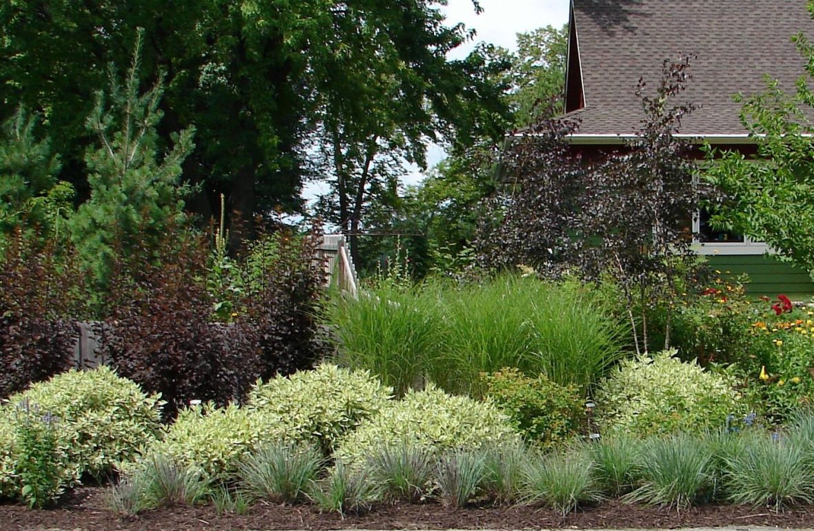 Planting a Rain Garden - Heidi's GrowHaus & Lifestyle Gardens